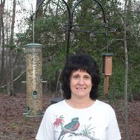 Linda Sharp Photo 33