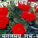 Kushal Adhikari Photo 13