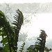 Robert Fern Photo 10