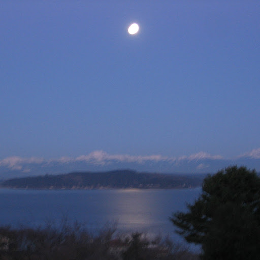 Darlene Williams Photo 22