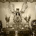 Hui Zeng Photo 9