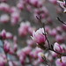 Frederick Bloom Photo 6