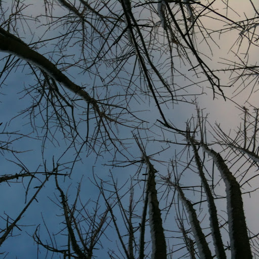 Laura Watt Photo 42