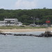 Martha Mcmullan Photo 9