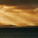 Phillip Ray Photo 10