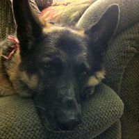 Tammy Empey Photo 1