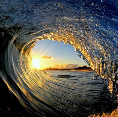 Martin Michaels Photo 17