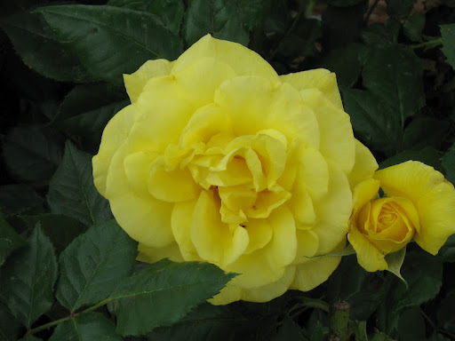 Kathleen Robinson Photo 38