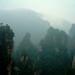 Jie Zhang Photo 14