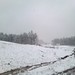 Melba Mills Photo 8