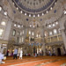 Sultan Ansari Photo 5