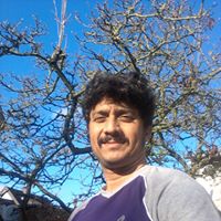 Arvind Phatak Photo 6