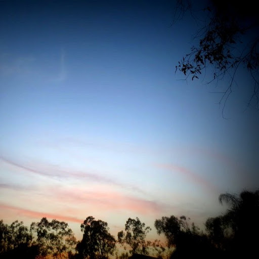 Andrew Craven Photo 26