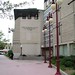 Elizabeth Paone Photo 14