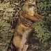 Kerri Smith Photo 15