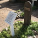 Jim Robinson Photo 3