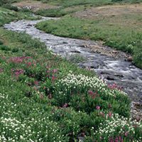 Mary Hargett Photo 14