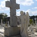 Angel Colon Photo 6