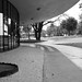 Mark Contorno Photo 6