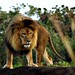 Scott Manes Photo 5
