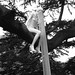 Francis Gray Photo 5