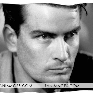 Timothy Mcknight Photo 31