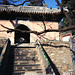 Guo Zheng Photo 9