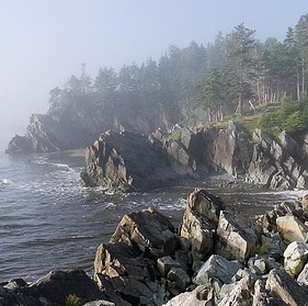 Michael Layman Photo 15