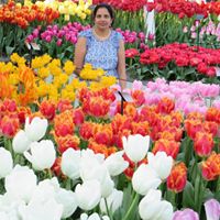Shobana Balasubramanian Photo 3