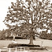 Richard Lake Photo 6