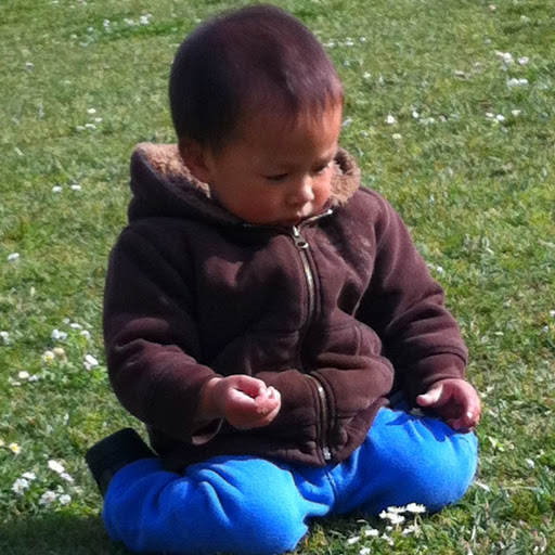 Mei Yang Photo 19