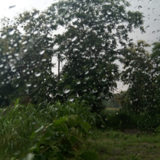 Shivani Madan Photo 14