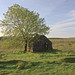Glen Carstens Photo 3