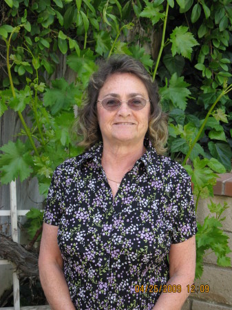 Betty Cook Photo 11