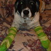 Betsy Green Photo 7