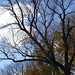 Autumn Morris Photo 15