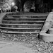 Thomas Keays Photo 8