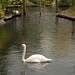 Theodore Swan Photo 9