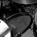 Tom Brush Photo 9
