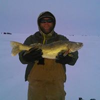 Greg Kollmann Photo 2