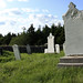 Ben Comeau Photo 11