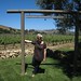 Wendy Lafond Photo 2