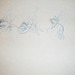 Timothy Fitzgibbon Photo 9
