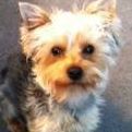 Penny Charles Photo 8