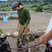Jamie Wolf Photo 11