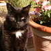Gary Thomas Photo 22