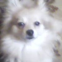 Bonnie Little Photo 25