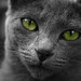 Felina Blanco Photo 1