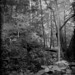Daniel Forrest Photo 7