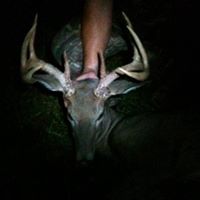 David Turner Photo 12